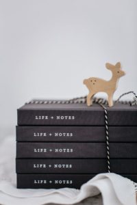 Life + Notes Journal