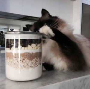 Image of a cat reaching out to a cookie mixture.