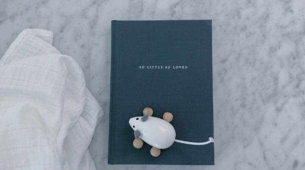 linen baby journal